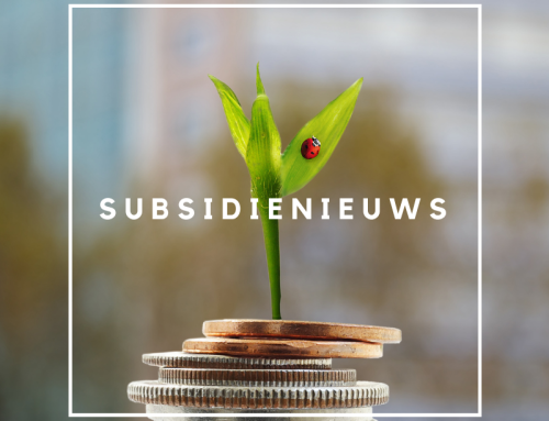 Nieuwe subsidie versnelt klimaatneutrale economie in eigen land