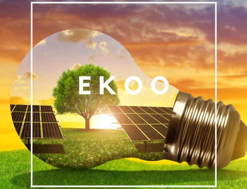 EKOO: Elektriciteit