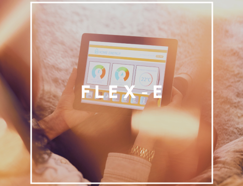 Subsidie voor flexibel elektriciteitsverbruik