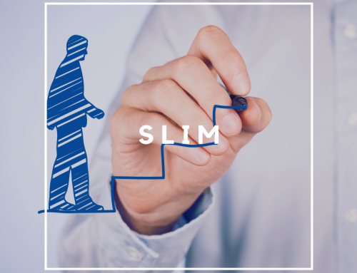 SLIM-regeling