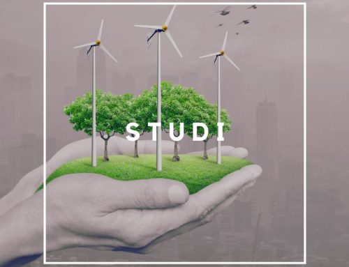 Ook subsidie voor vergassing van reststromen in vernieuwde TSE Industrie studies